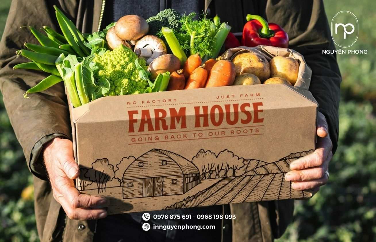 Mẫu thùng carton đựng nông sản chuẩn quy cách xuất khẩu